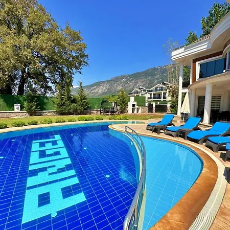 ヴィラ Angel Valley With Private Pool Near Hisaroenue フェティエ
